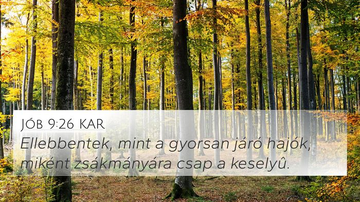 Jób 9:26 KAR Bible Verse Image