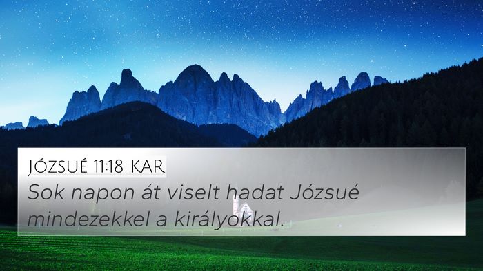 Józsué 11:18 KAR Bible Verse Image
