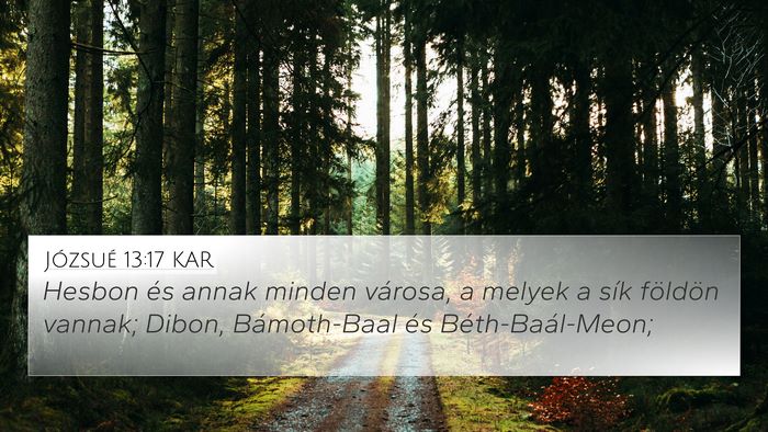 Józsué 13:17 KAR Bible Verse Image