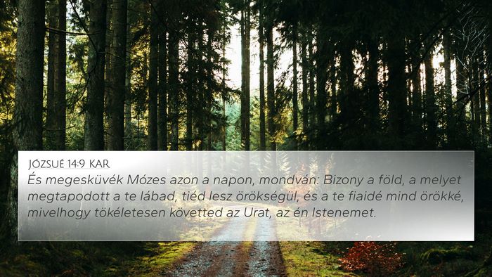 Józsué 14:9 KAR 4K Wallpaper - És megesküvék Mózes azon a napon, mondván: - 4K Wallpaper Bible Verse