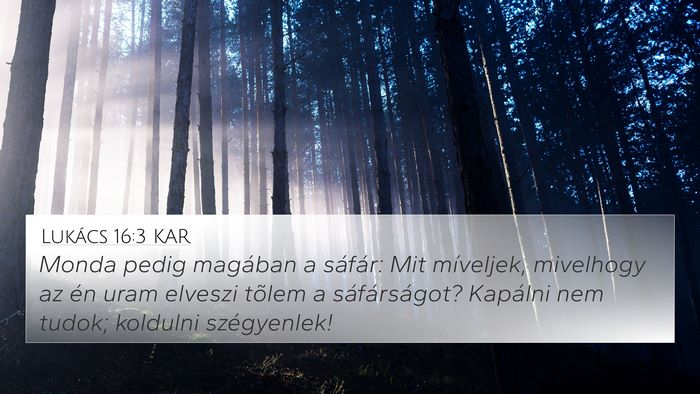 Lukács 16:3 KAR Bible Verse Image
