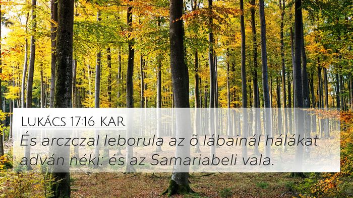 Lukács 17:16 KAR Bible Verse Image