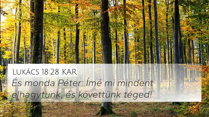 Lukács 18:28 KAR Bible Verse Image