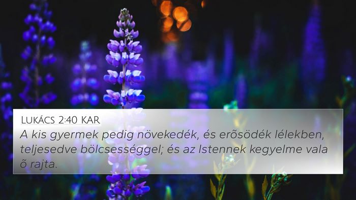 Lukács 2:40 KAR Bible Verse Image