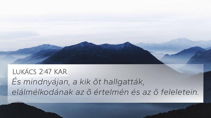Lukács 2:47 KAR Bible Verse Image