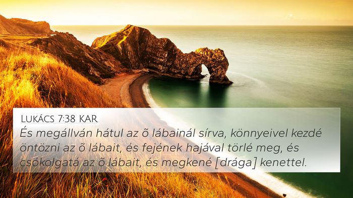 Lukács 7:38 KAR 4K Wallpaper - És megállván hátul az õ lábainál sírva, - 4K Wallpaper Bible Verse