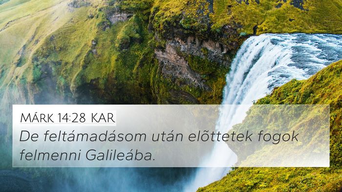 Márk 14:28 KAR Bible Verse Image