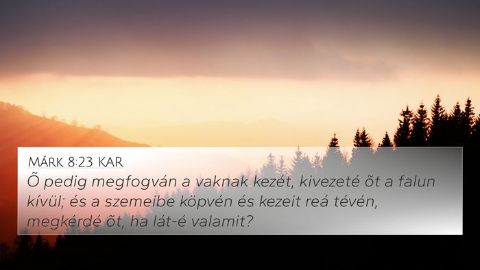 Márk 8:23 KAR Bible Verse Image