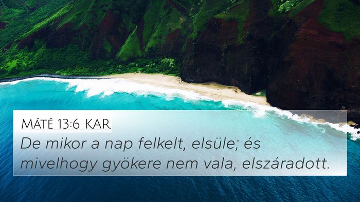 Máté 13:6 KAR 4K Wallpaper - De mikor a nap felkelt, elsüle; és mivelhogy - 4K Wallpaper Bible Verse
