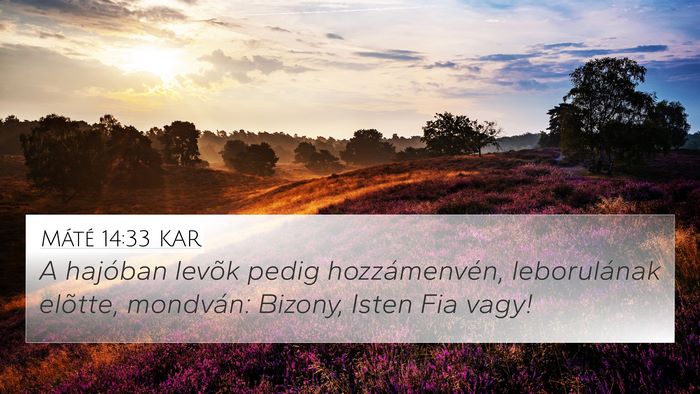 Máté 14:33 KAR Bible Verse Image