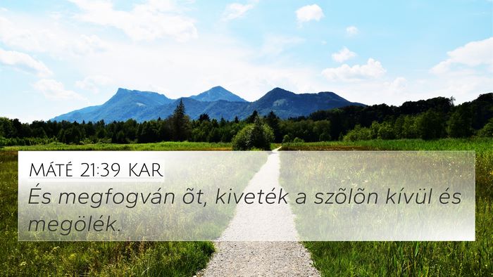 Máté 21:39 KAR 4K Wallpaper - És megfogván õt, kiveték a szõlõn kívül - 4K Wallpaper Bible Verse