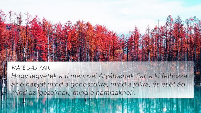 Máté 5:45 KAR 4K Wallpaper - Hogy legyetek a ti mennyei Atyátoknak fiai, a ki - 4K Wallpaper Bible Verse