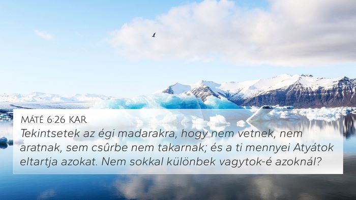 Máté 6:26 KAR 4K Wallpaper - Tekintsetek az égi madarakra, hogy nem vetnek, - 4K Wallpaper Bible Verse