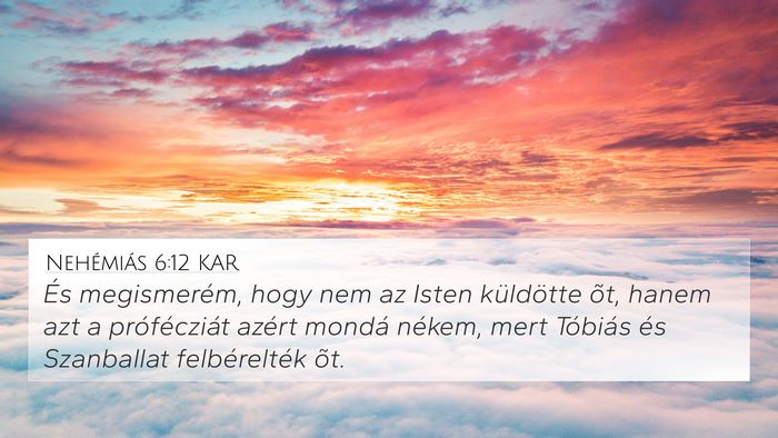 Nehémiás 6:12 KAR Bible Verse Image