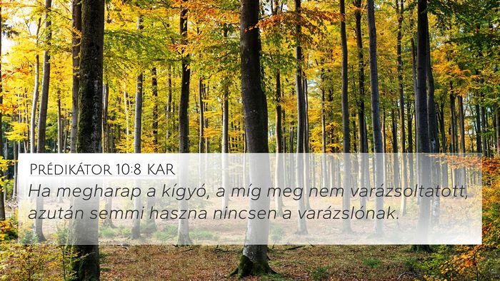 Prédikátor 10:8 KAR 4K Wallpaper - Ha megharap a kígyó, a míg meg nem - 4K Wallpaper Bible Verse