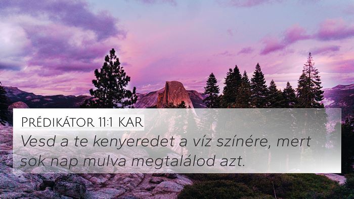 Prédikátor 11:1 KAR Bible Verse Image