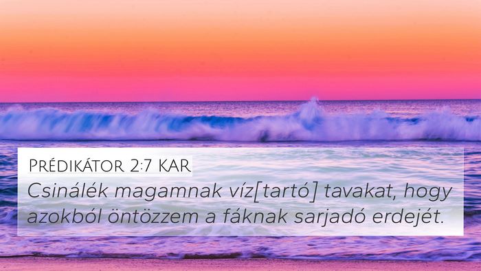 Prédikátor 2:7 KAR Bible Verse Image