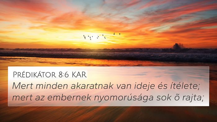 Prédikátor 8:6 KAR 4K Wallpaper - Mert minden akaratnak van ideje és ítélete; - 4K Wallpaper Bible Verse