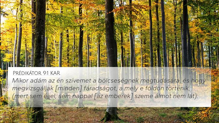 Prédikátor 9:1 KAR Bible Verse Image