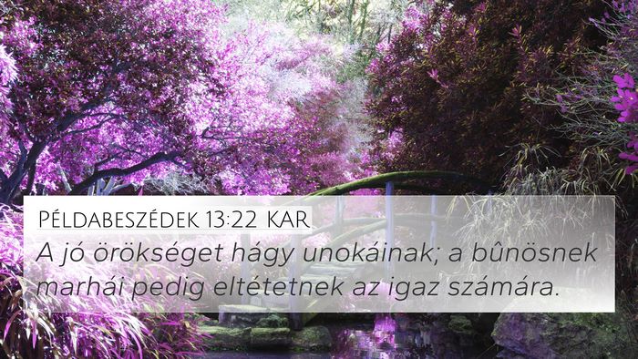 Példabeszédek 13:22 KAR Bible Verse Image