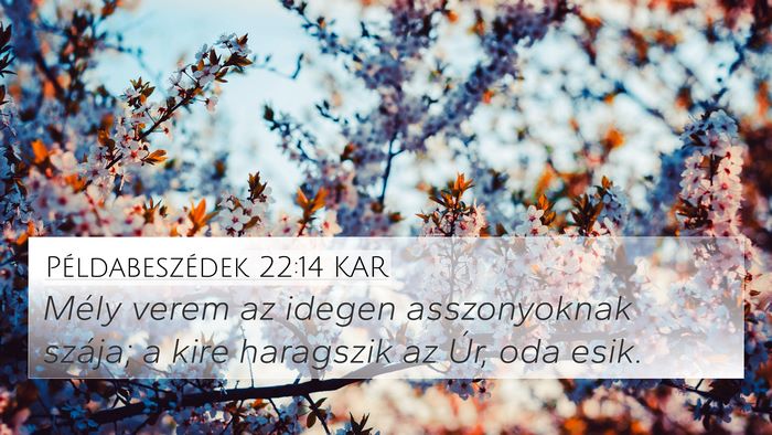 Példabeszédek 22:14 KAR Bible Verse Image