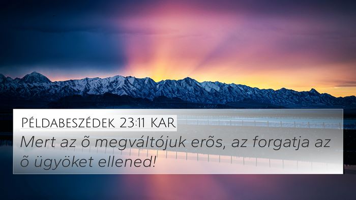 Példabeszédek 23:11 KAR Bible Verse Image