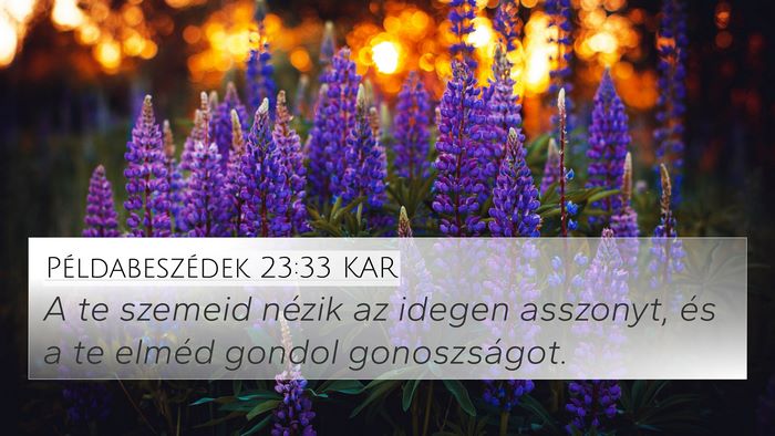Példabeszédek 23:33 KAR Bible Verse Image