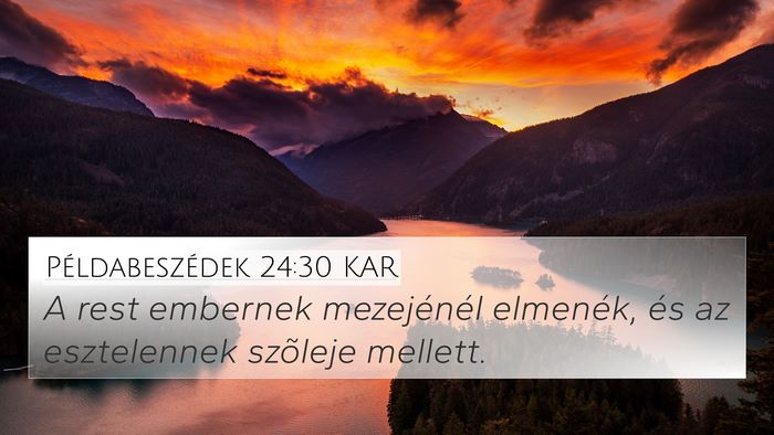 Példabeszédek 24:30 KAR Bible Verse Image
