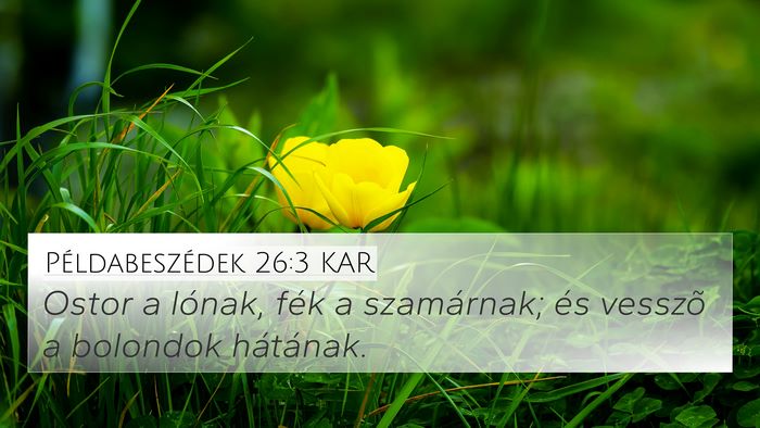 Példabeszédek 26:3 KAR Bible Verse Image