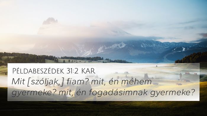 Példabeszédek 31:2 KAR 4K Wallpaper - Mit [szóljak,] fiam? mit, én méhem gyermeke? - 4K Wallpaper Bible Verse