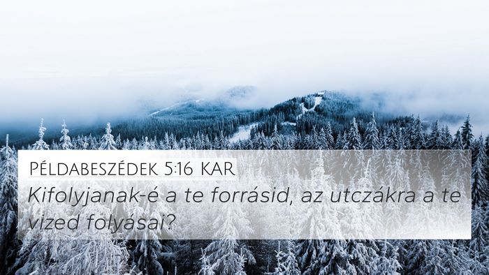 Példabeszédek 5:16 KAR 4K Wallpaper - Kifolyjanak-é a te forrásid, az utczákra a te - 4K Wallpaper Bible Verse