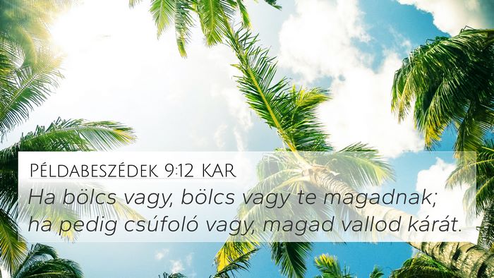 Példabeszédek 9:12 KAR Bible Verse Image