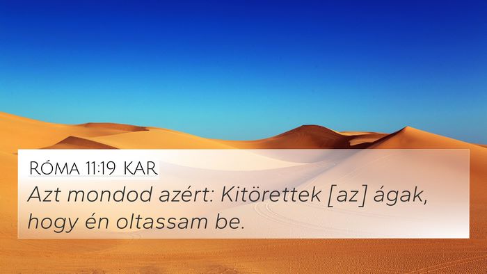 Róma 11:19 KAR Bible Verse Image