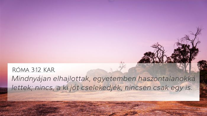 Róma 3:12 KAR Bible Verse Image