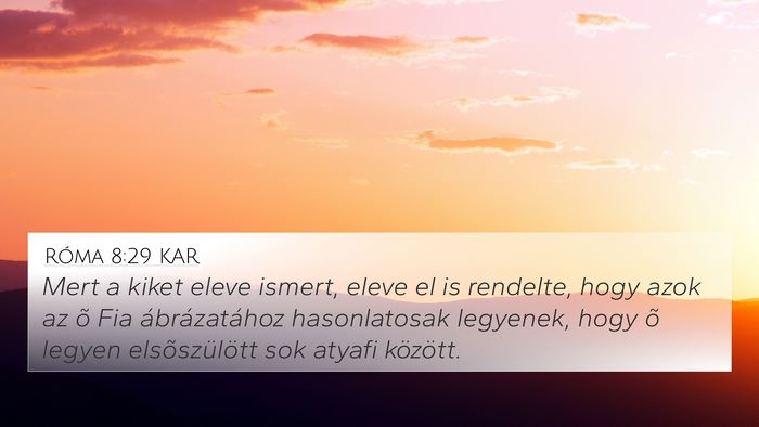 Róma 8:29 KAR Bible Verse Image