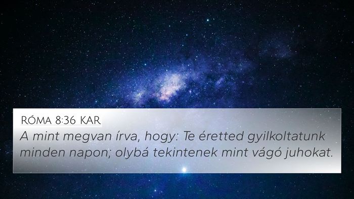 Róma 8:36 KAR Bible Verse Image
