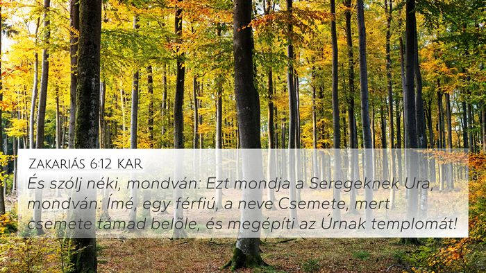 Zakariás 6:12 KAR Bible Verse Image