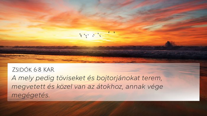 Zsidók 6:8 KAR Bible Verse Image