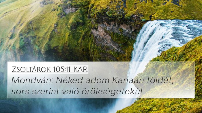 Zsoltárok 105:11 KAR Bible Verse Image
