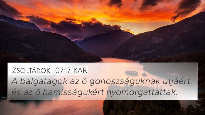 Zsoltárok 107:17 KAR Bible Verse Image