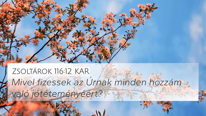 Zsoltárok 116:12 KAR Bible Verse Image