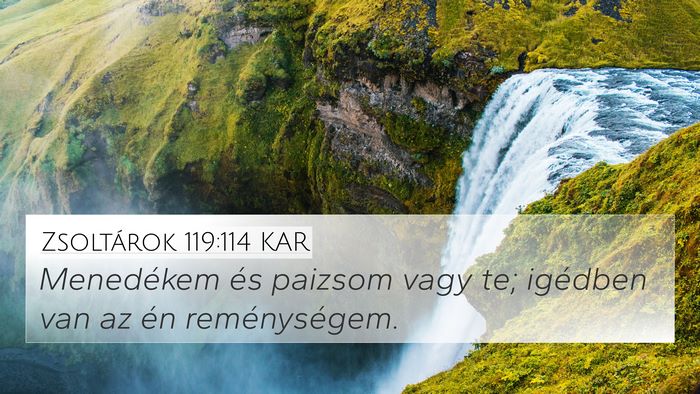 Zsoltárok 119:114 KAR Bible Verse Image