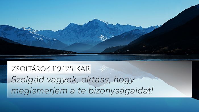 Zsoltárok 119:125 KAR Bible Verse Image