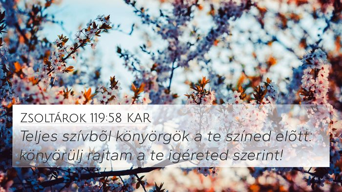 Zsoltárok 119:58 KAR Bible Verse Image