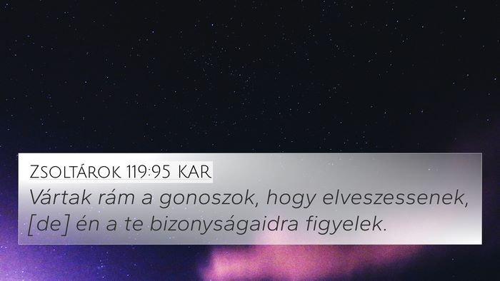 Zsoltárok 119:95 KAR Bible Verse Image