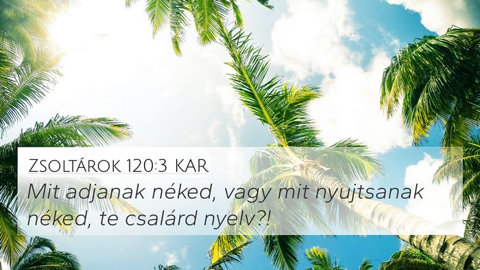 Zsoltárok 120:3 KAR Bible Verse Image