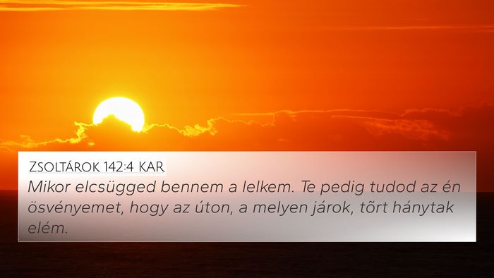 Zsoltárok 142:4 KAR Bible Verse Image