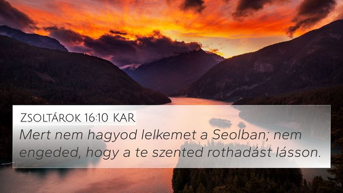 Zsoltárok 16:10 KAR Bible Verse Image