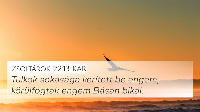Zsoltárok 22:13 KAR 4K Wallpaper - Tulkok sokasága kerített be engem, - 4K Wallpaper Bible Verse