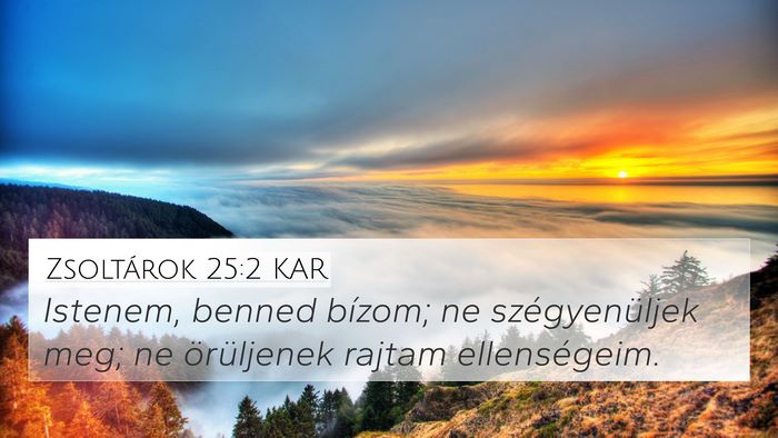 Zsoltárok 25:2 KAR Bible Verse Image